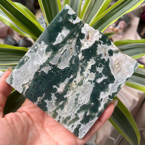 Moss Agate Slice - Optimism & Courage