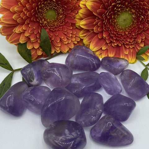 Amethyst Tumblestones - Spirituality & Transmutation BD Crystals