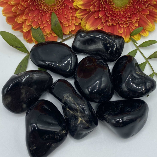 Black Onyx Tumblestones - Power and Energy Healing BD Crystals