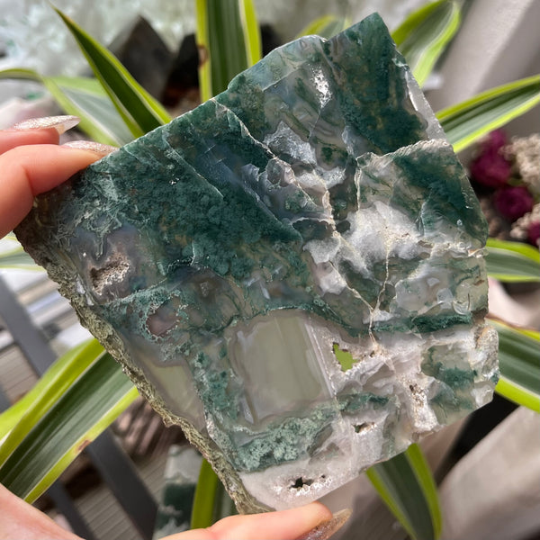 Moss Agate Slice - Optimism & Courage