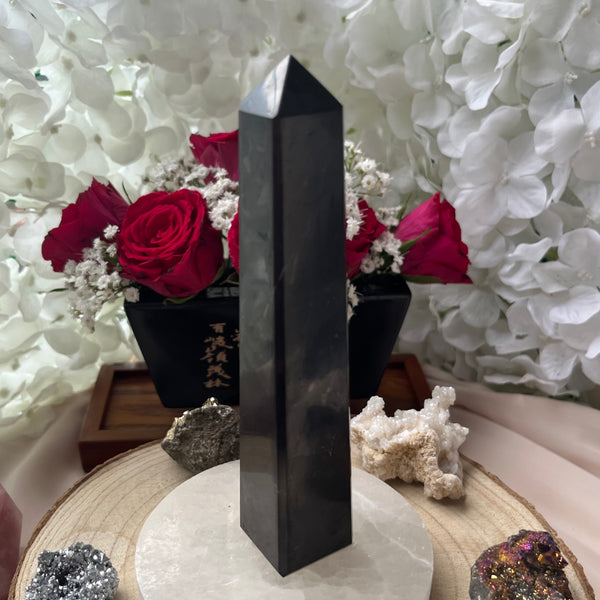 Shungite Obelisk - Stone of Life & Transmutation