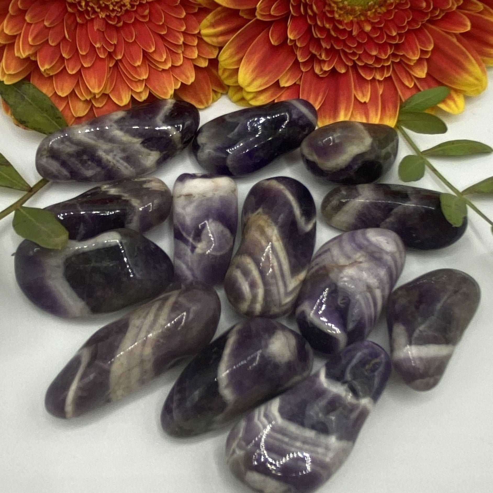 Chevron (Dream/Banded) Amethyst Tumblestones - Spiritual Wisdom & Comfort BD Crystals