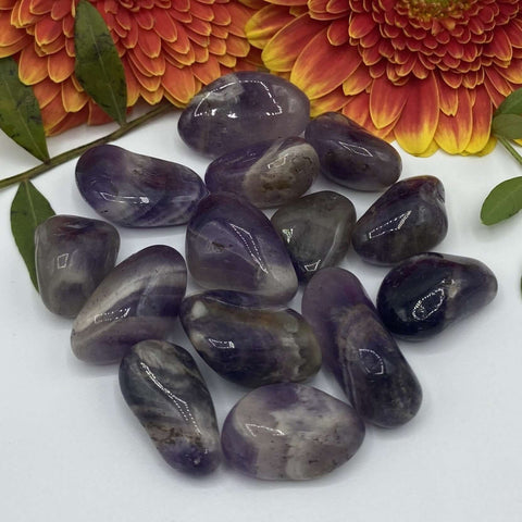 Amethyst Tumblestones - Spirituality & Transmutation BD Crystals
