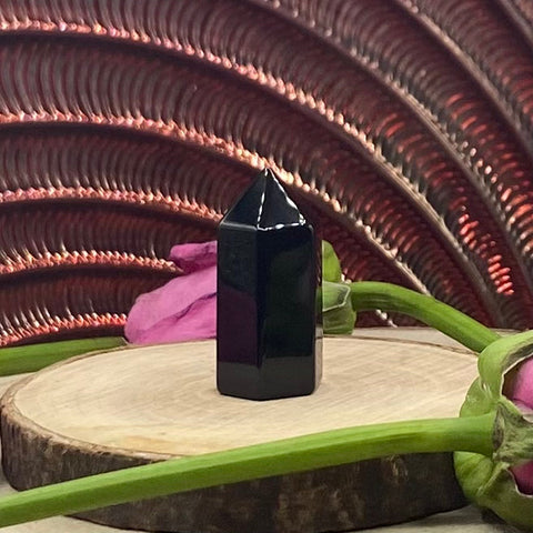 Black Obsidian Polished Point - Protection & Awareness BD Crystals