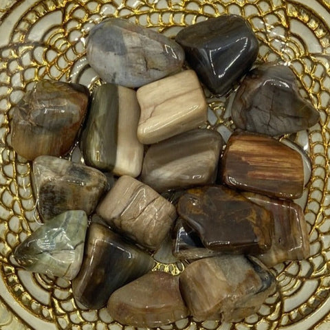Fossilised Wood Tumblestones BD Crystals