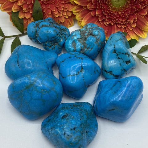 Turquenite (Blue Howlite) Tumblestones BD Crystals