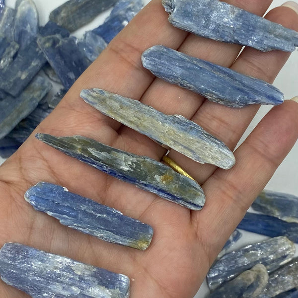 Rough Blue Kyanite Blades - Spiritual Protection