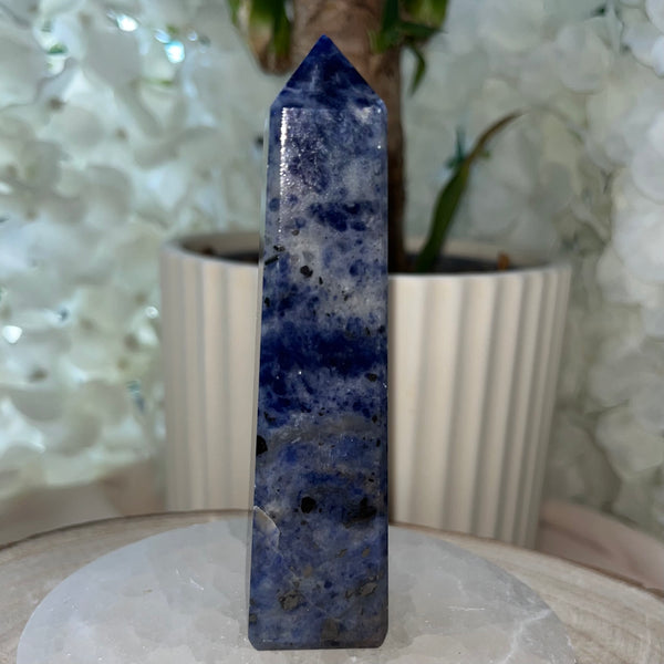 Sodalite Obelisk - Wisdom & Guidance