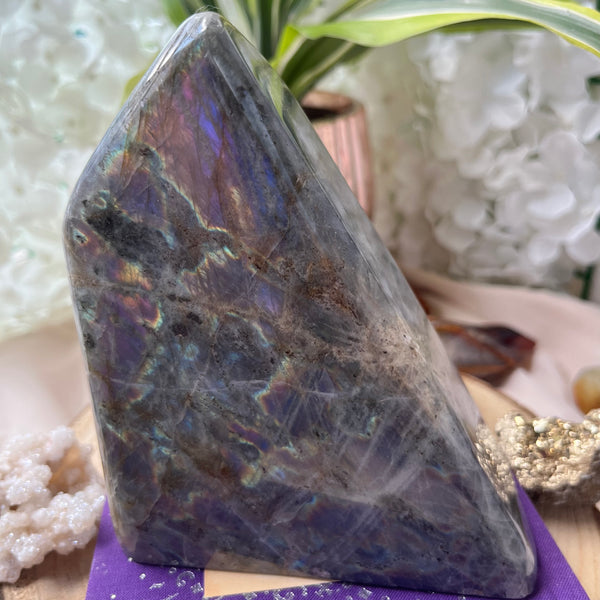 Labradorite Freeform (Purple Flash) - Magic & Clairvoyance