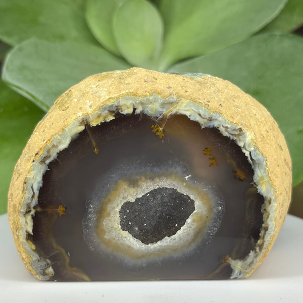 Natural Agate Cut Base Geode - Balance & Harmony