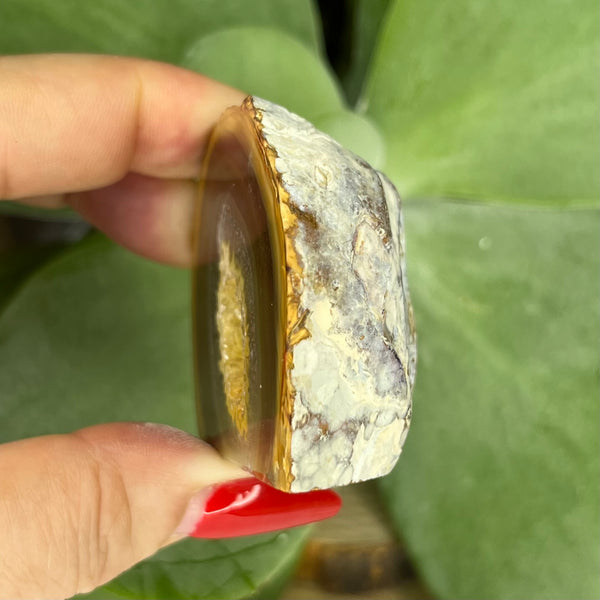 Natural Agate Cut Base Geode - Balance & Harmony