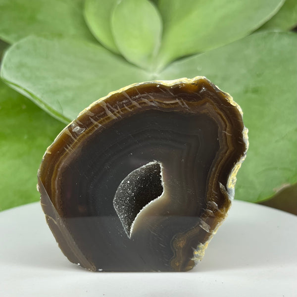 Natural Agate Cut Base Geode - Balance & Harmony