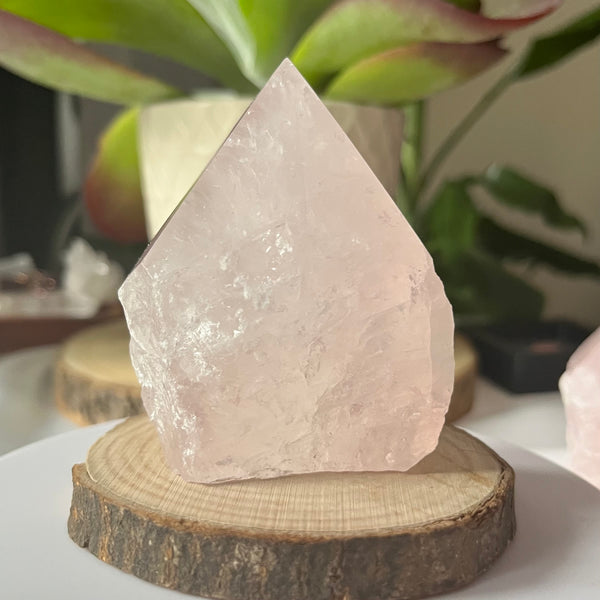 Rose Quartz Cut Base Point - Unconditional Love