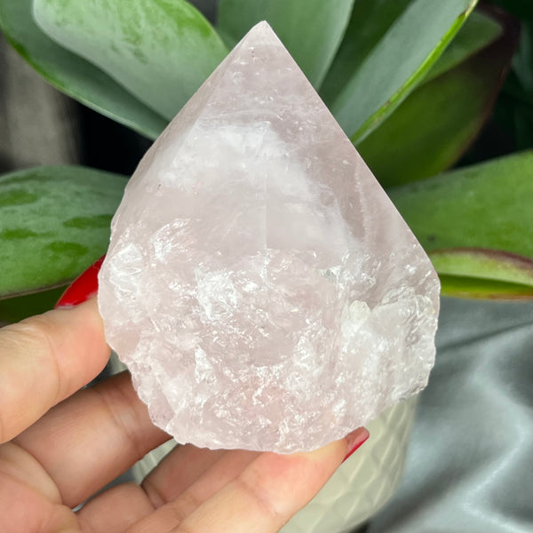 Rose Quartz Cut Base Point - Unconditional Love