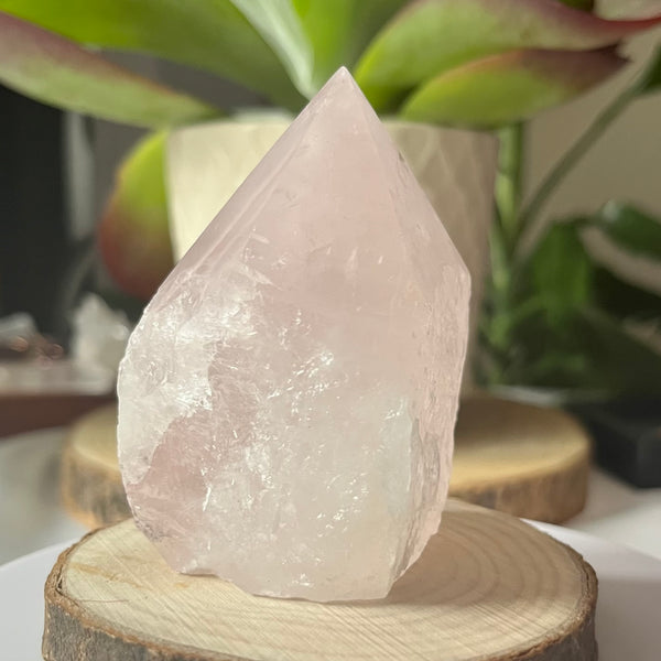 Rose Quartz Cut Base Point - Unconditional Love