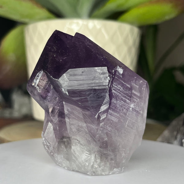 Amethyst Cut Base Point -Spiritual Wisdom & Comfort