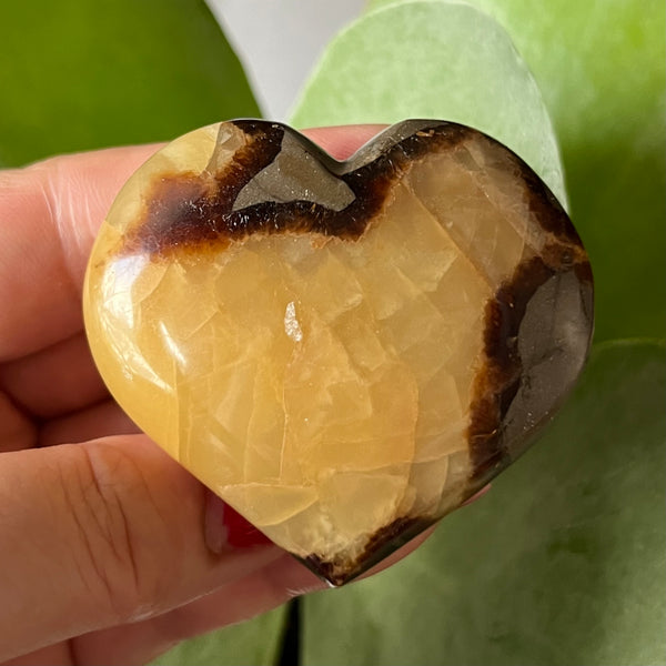 Septarian Heart - Grounding & Stability