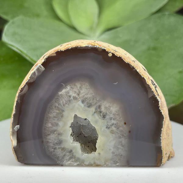 Natural Agate Cut Base Geode - Balance & Harmony