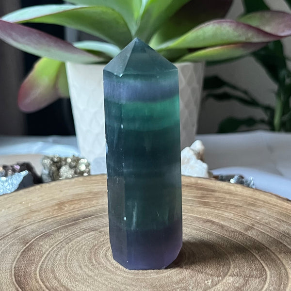 Fluorite Polished Point - Intuition & Protection