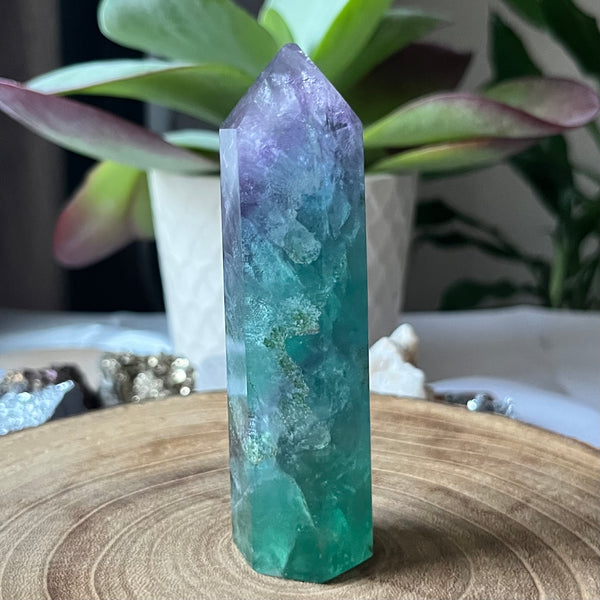 Fluorite Polished Point - Intuition & Protection