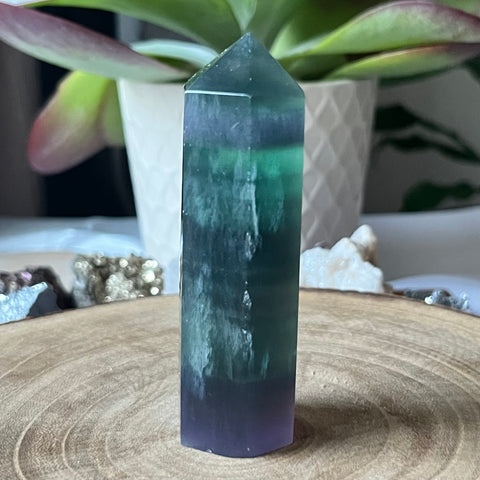 Fluorite Polished Point - Intuition & Protection