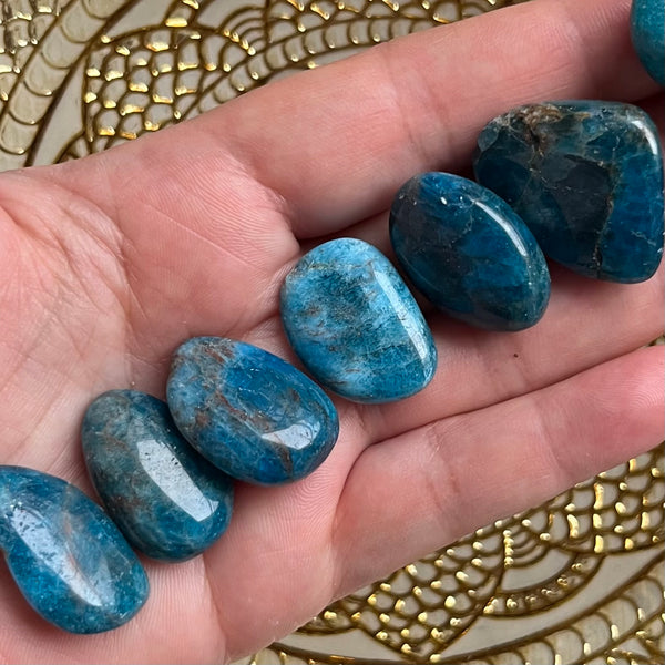 Blue Apatite Tumblestones - Intuition & Enlightenment