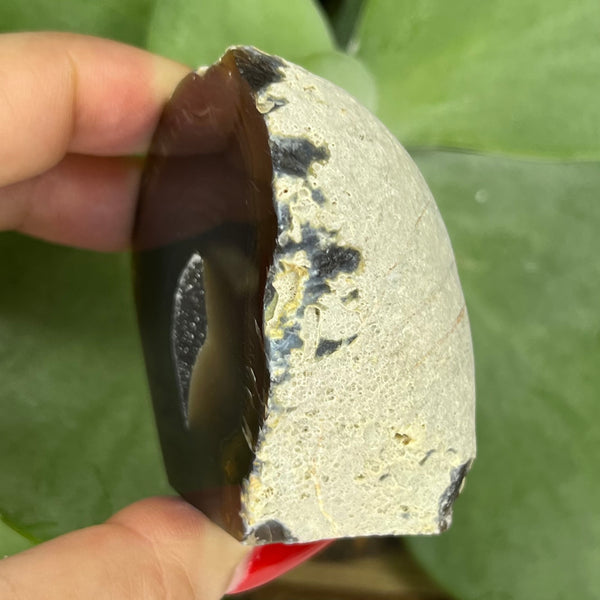 Natural Agate Cut Base Geode - Balance & Harmony