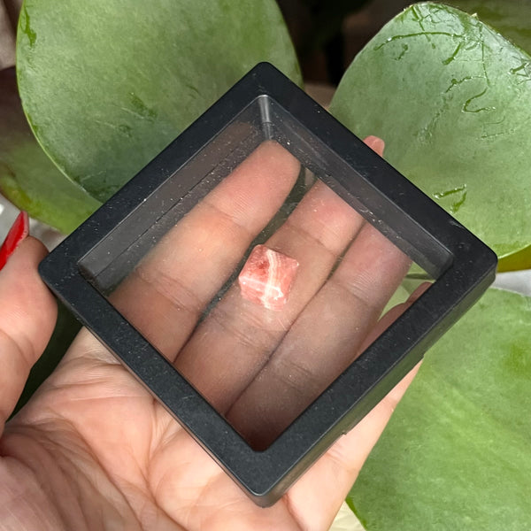 Mini Rhodochrosite Cube w/ Floating Display Case