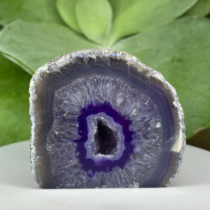 Purple Agate Cut Base Geode - Stability & Courage