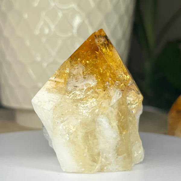 Citrine Cut Base Point (Heat Treated) - Abundance & Success