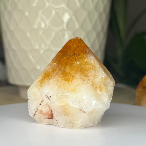 Citrine Cut Base Point (Heat Treated) - Abundance & Success