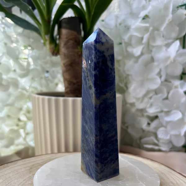 Sodalite Obelisk - Wisdom & Guidance