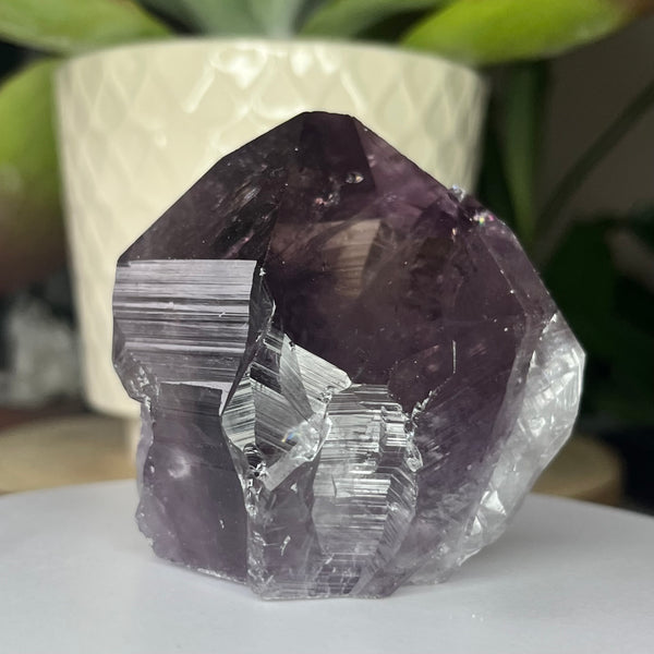 Amethyst Cut Base Point -Spiritual Wisdom & Comfort