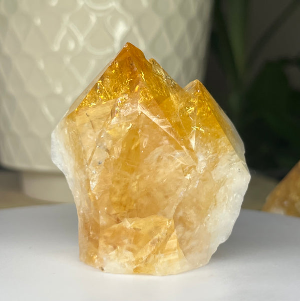 Citrine Cut Base Point (Heat Treated) - Abundance & Success