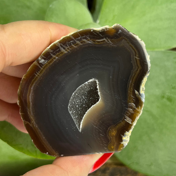 Natural Agate Cut Base Geode - Balance & Harmony