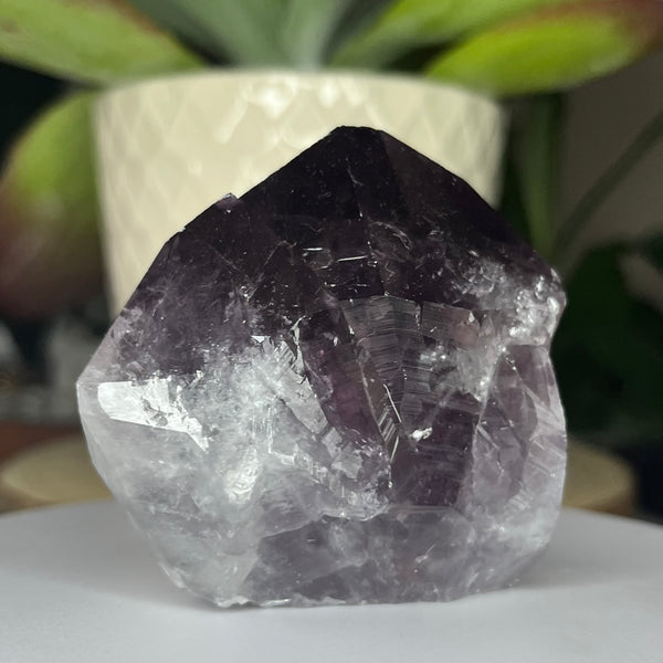 Amethyst Cut Base Point -Spiritual Wisdom & Comfort