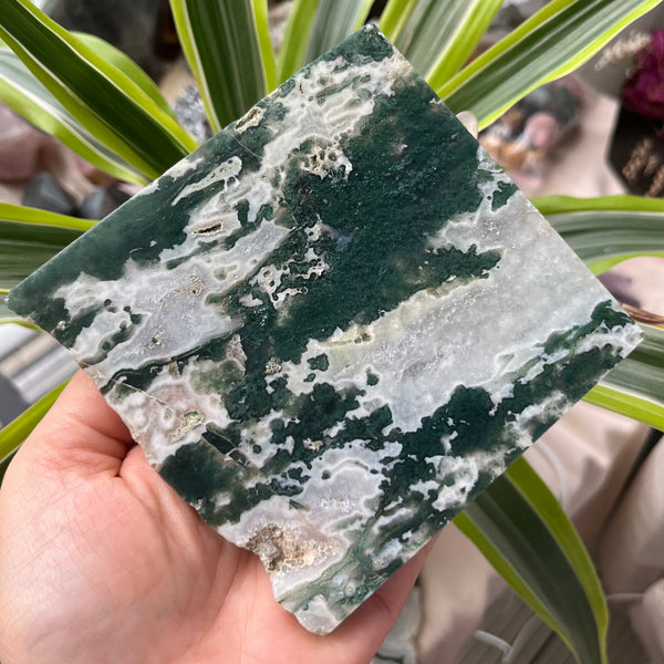 Moss Agate Slice - Optimism & Courage