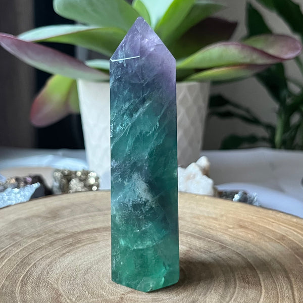 Fluorite Polished Point - Intuition & Protection