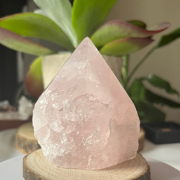 Rose Quartz Cut Base Point - Unconditional Love