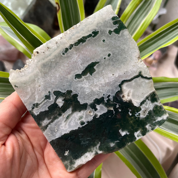 Moss Agate Slice - Optimism & Courage