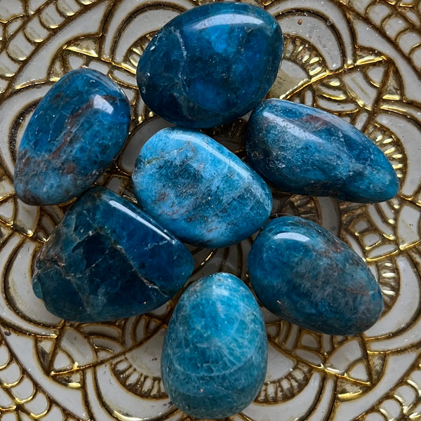 Blue Apatite Tumblestones - Intuition & Enlightenment