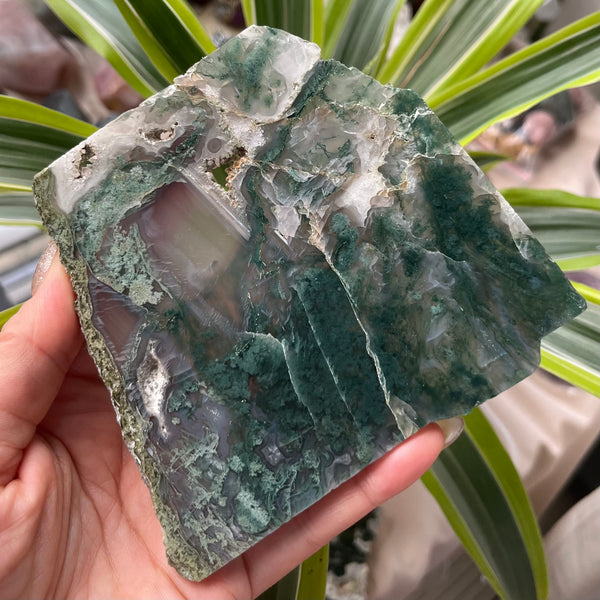 Moss Agate Slice - Optimism & Courage