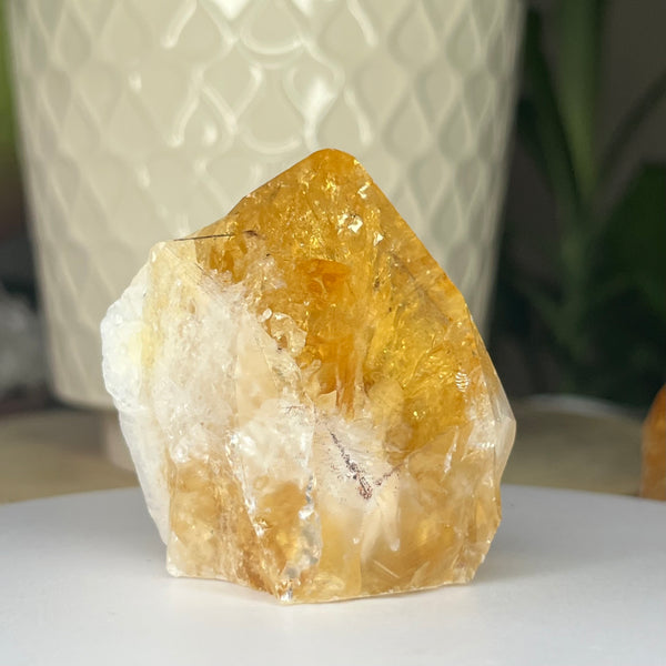 Citrine Cut Base Point (Heat Treated) - Abundance & Success