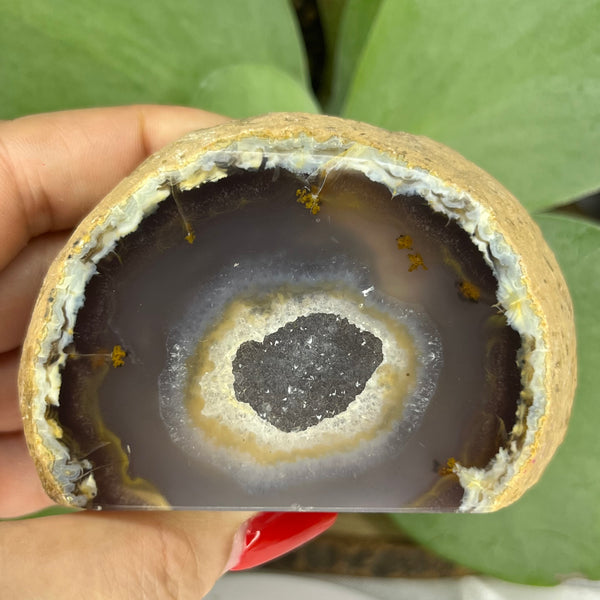 Natural Agate Cut Base Geode - Balance & Harmony