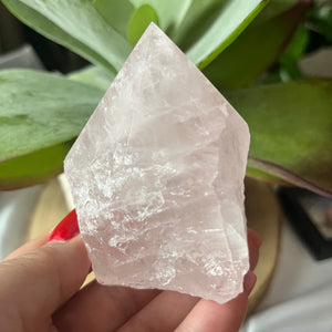 Rose Quartz Cut Base Point - Unconditional Love