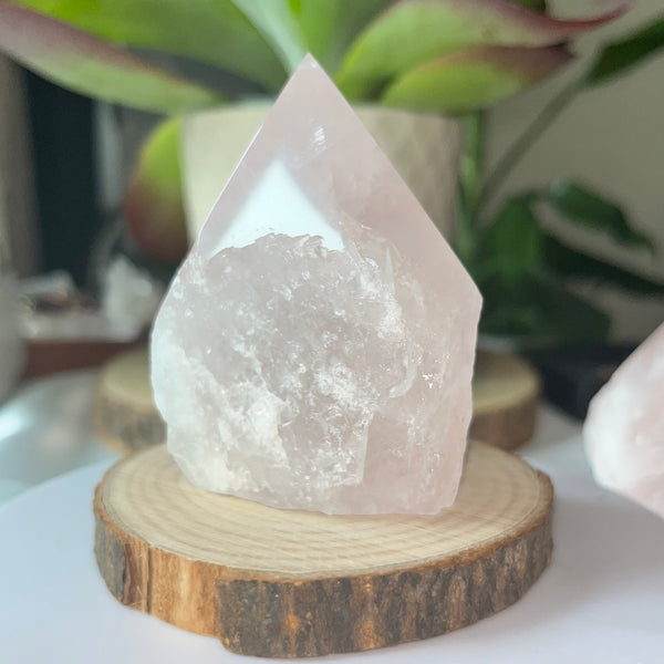 Rose Quartz Cut Base Point - Unconditional Love