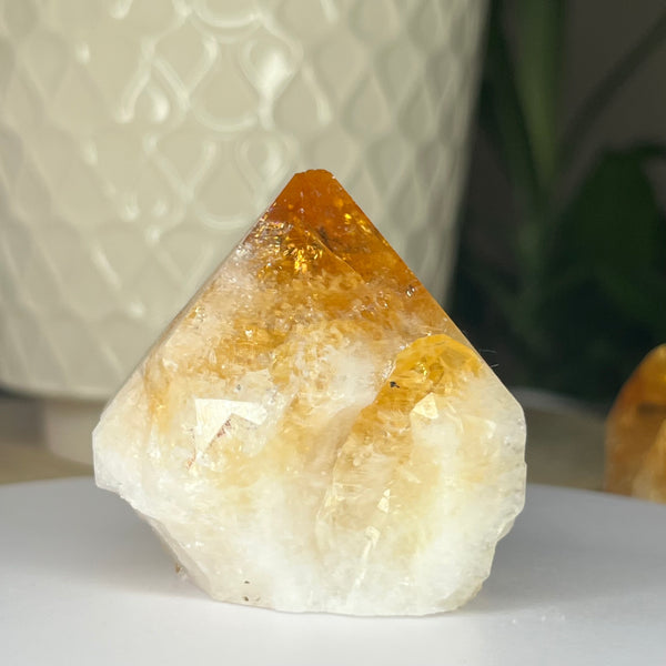 Citrine Cut Base Point (Heat Treated) - Abundance & Success