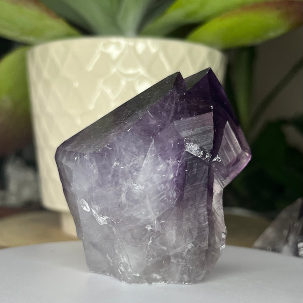 Amethyst Cut Base Point -Spiritual Wisdom & Comfort