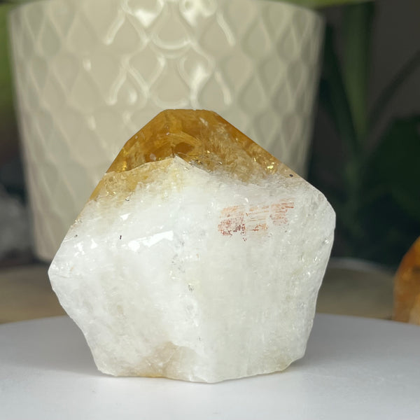 Citrine Cut Base Point (Heat Treated) - Abundance & Success