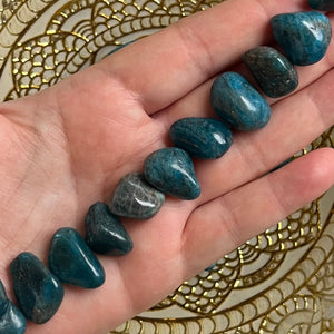 Blue Apatite Tumblestones - Intuition & Enlightenment